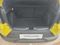 Fiat Grande Panda 1.2 T 100 Icon + Paket Vollausstattung Gelb - thumbnail 12