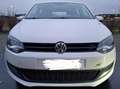 Volkswagen Polo 1.2 tsi  6R Wit - thumbnail 5