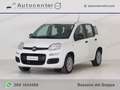 Fiat Panda Panda 1.2 Easy s&s 69cv my19 Blanc - thumbnail 1