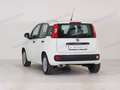 Fiat Panda Panda 1.2 Easy s&s 69cv my19 Blanc - thumbnail 4