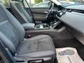 Land Rover Range Rover Velar Allrad/Panorama/Kamera/20Zoll Schwarz - thumbnail 14