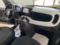 Fiat Panda Pandina 1.0firefly hybrid 70cv Cross 2025 Km 14000 Verde - thumbnail 22
