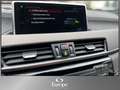 BMW X2 X2 xDrive20d M Sport X /LED/Navi/HuD/Keyless/Ka... Gold - thumbnail 17