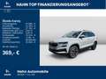 Skoda Karoq Tour 1,5 TSI DSG Infotainmet CANTON 18" Grau - thumbnail 2