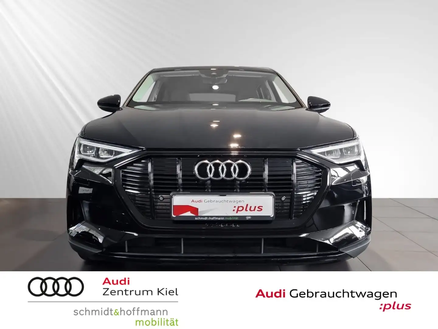 Audi e-tron 50 quattro Virtual Cockpit RFK Sitzhz LED Klima Noir - 2