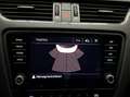 Skoda Octavia 1.0 TSI AMBITION LED LM17 SITZHZG Grau - thumbnail 15