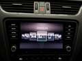 Skoda Octavia 1.0 TSI AMBITION LED LM17 SITZHZG Grau - thumbnail 13
