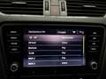 Skoda Octavia 1.0 TSI AMBITION LED LM17 SITZHZG Grau - thumbnail 12