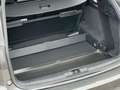 Ford Focus ST-Line Traveller Automatik Diesel Grau - thumbnail 28