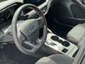 Ford Focus ST-Line Traveller Automatik Diesel Grau - thumbnail 12