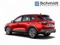Ford Kuga Cool & Connect Trend PHEV 2,5L 225PS A F Rot - thumbnail 4
