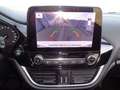Ford Fiesta 1.0 EcoBoost Hybrid 125 CV Titanium Beige - thumbnail 15