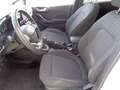 Ford Fiesta 1.0 EcoBoost Hybrid 125 CV Titanium Beige - thumbnail 9