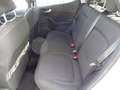 Ford Fiesta 1.0 EcoBoost Hybrid 125 CV Titanium Beige - thumbnail 10
