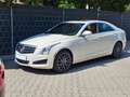 Cadillac ATS 3.6  AWD Luxury Fehér - thumbnail 6