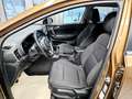 Kia Sportage Vision Allrad,AHK,Tempomat,Kamera,Navi Braun - thumbnail 19
