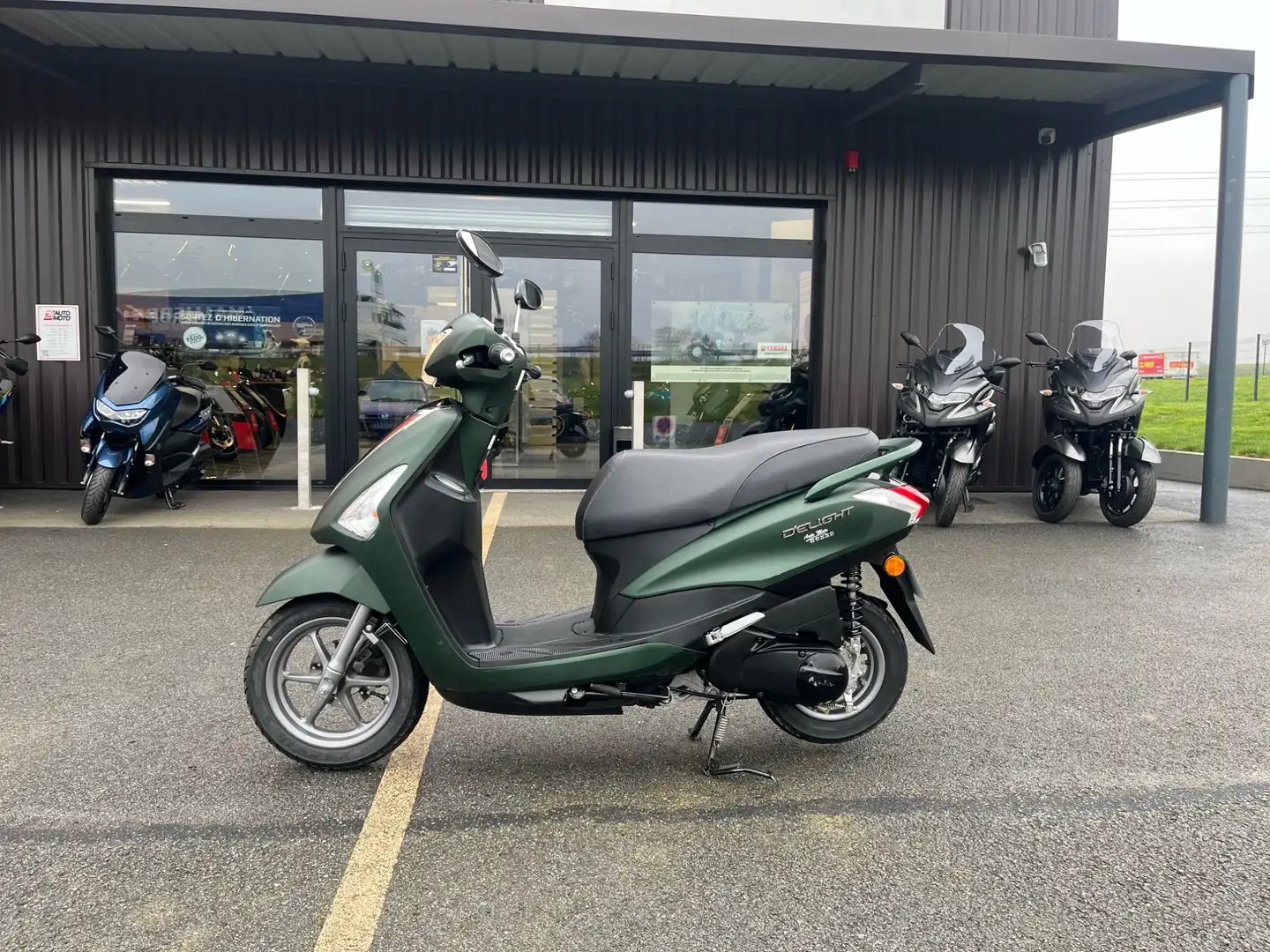 Yamaha D'elight Grün - 1
