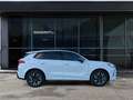 CUPRA Terramar 1.5 e-HYBRID 150 kW (204 PS) 6-Gang-DSG White - thumbnail 7