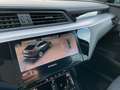 Audi e-tron HUD 360° Ambiente plus Memory Weiß - thumbnail 23