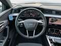 Audi e-tron HUD 360° Ambiente plus Memory Weiß - thumbnail 12