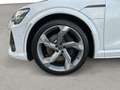 Audi e-tron HUD 360° Ambiente plus Memory Weiß - thumbnail 14