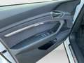 Audi e-tron HUD 360° Ambiente plus Memory Weiß - thumbnail 18