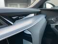 Audi e-tron HUD 360° Ambiente plus Memory Weiß - thumbnail 25