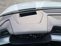 Audi e-tron HUD 360° Ambiente plus Memory Weiß - thumbnail 24