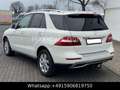 Mercedes-Benz ML 250 CDI /4 Matic/ NAVI / TEMPO / SHZG / AHK Blanc - thumbnail 4