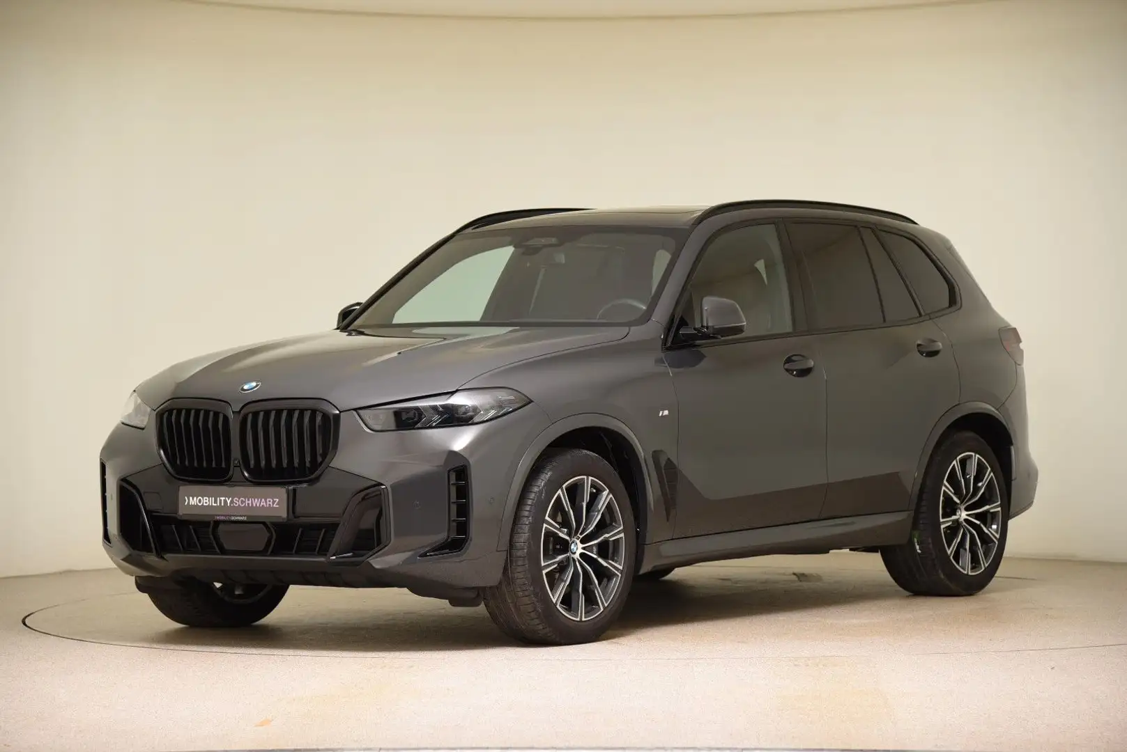 BMW X5 xDrive30d M Spot ACC AHK H&K Pano Head-Up LED Gris - 1