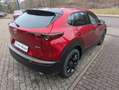 Mazda CX-30 SKYACTIV-G 2.0 150PS M Hybrid 6AT HOMURA PRE-PAKET Rot - thumbnail 5