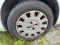 Fiat Punto Punto II 2003 5p 1.2 Classic Active Bianco - thumbnail 3