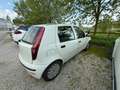 Fiat Punto Punto II 2003 5p 1.2 Classic Active Bianco - thumbnail 7