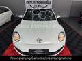 Volkswagen Beetle Cabriolet BMT Funki NAVI SHZ Weiß - thumbnail 37