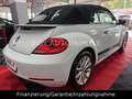 Volkswagen Beetle Cabriolet BMT Funki NAVI SHZ Weiß - thumbnail 23