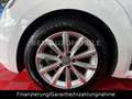 Volkswagen Beetle Cabriolet BMT Funki NAVI SHZ Weiß - thumbnail 8
