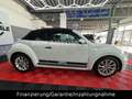 Volkswagen Beetle Cabriolet BMT Funki NAVI SHZ Weiß - thumbnail 21