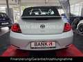 Volkswagen Beetle Cabriolet BMT Funki NAVI SHZ Weiß - thumbnail 20