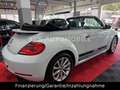 Volkswagen Beetle Cabriolet BMT Funki NAVI SHZ Weiß - thumbnail 35