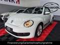 Volkswagen Beetle Cabriolet BMT Funki NAVI SHZ Weiß - thumbnail 9