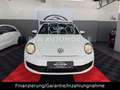 Volkswagen Beetle Cabriolet BMT Funki NAVI SHZ Weiß - thumbnail 13