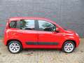 Fiat Panda Lounge Automatik/Klima/PDC/1.Hd Rot - thumbnail 6