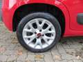 Fiat Panda Lounge Automatik/Klima/PDC/1.Hd Rot - thumbnail 14