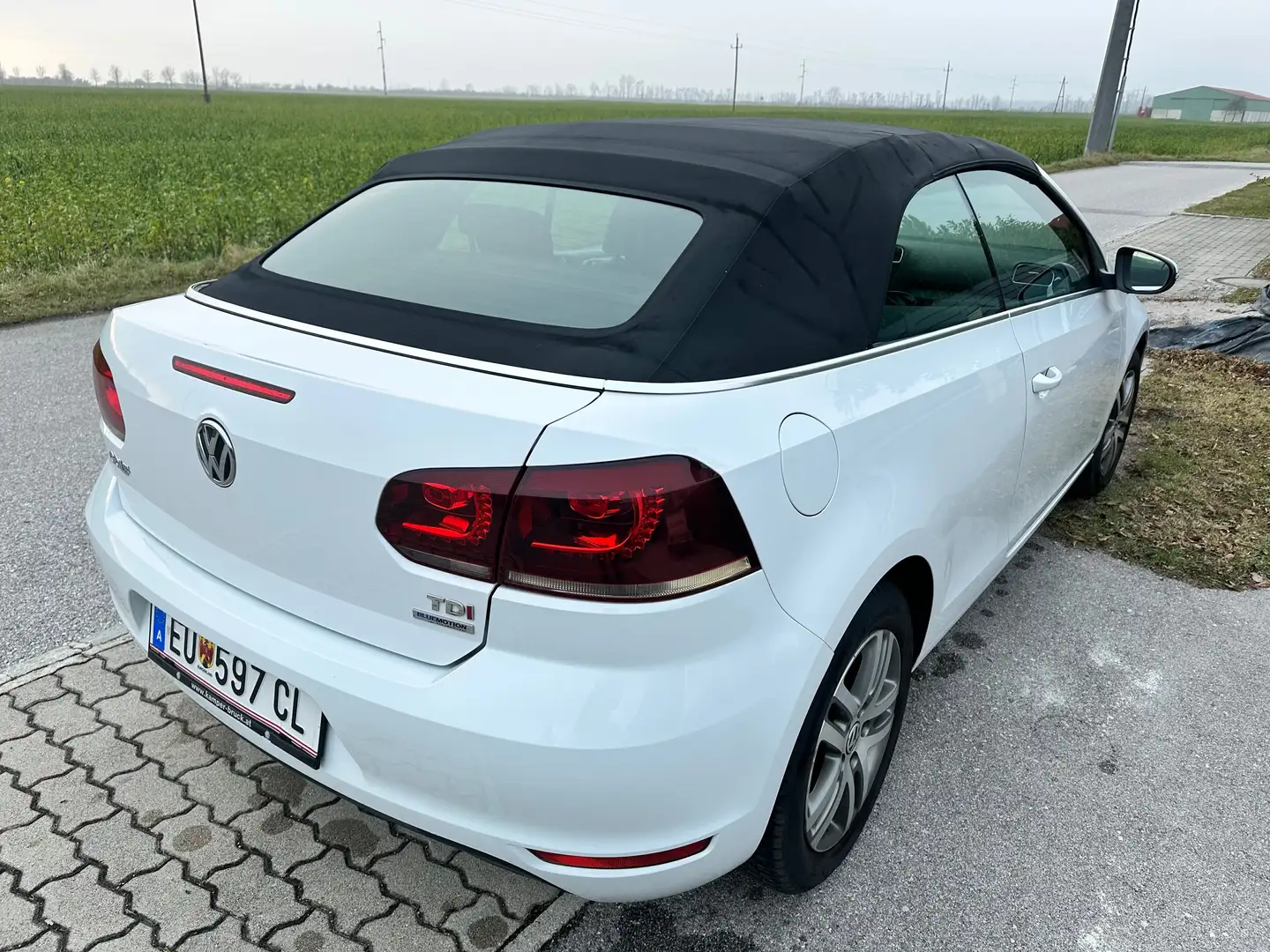 Volkswagen Golf Cabriolet Golf Cabrio BMT 1,6 TDI DPF Weiß - 2