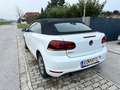 Volkswagen Golf Cabriolet Golf Cabrio BMT 1,6 TDI DPF Weiß - thumbnail 4