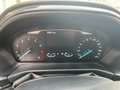 Ford Puma Puma 1.0 EcoBoost Hybrid TITANIUM Grau - thumbnail 13