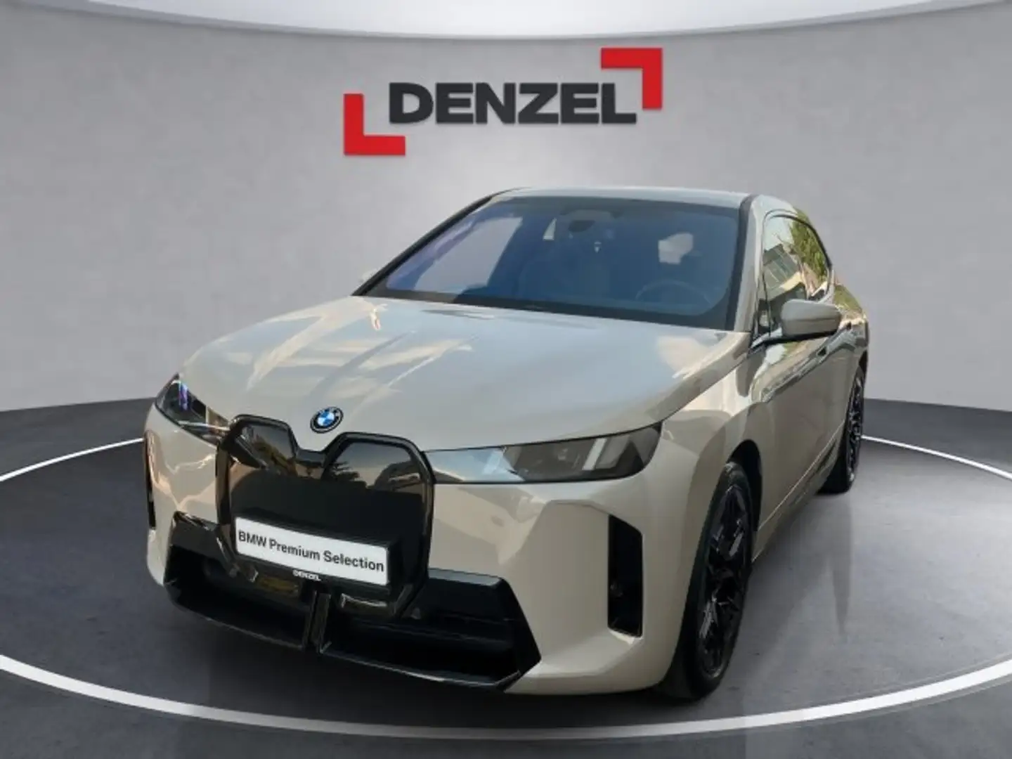 BMW iX xDrive45 Grau - 1