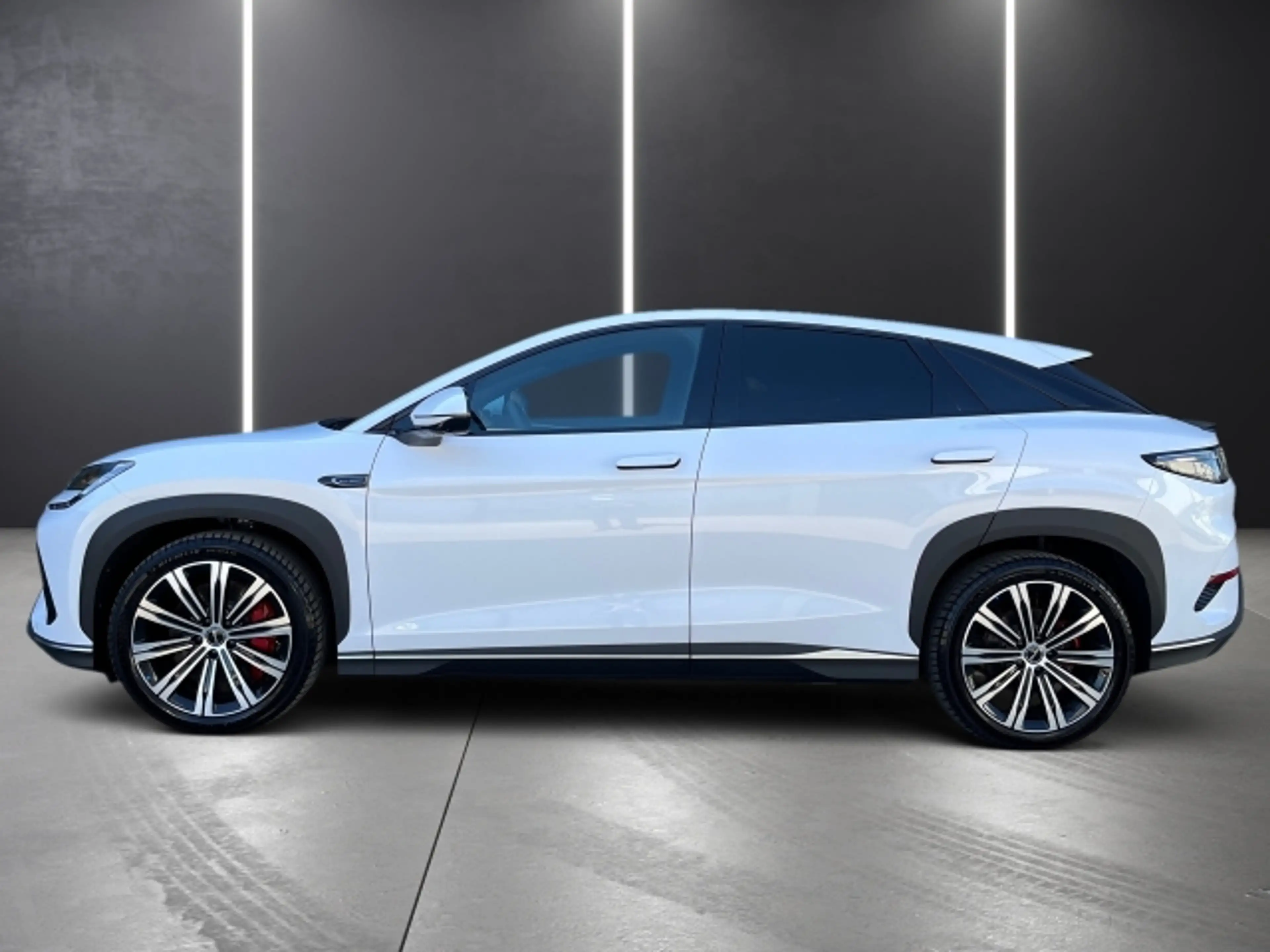 BYD Sealion 7 Excellence AWD — photo 3
