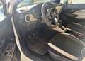 Nissan Micra Pequeño Manual de 5 Puertas Blanco - thumbnail 9