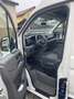 Volkswagen Crafter 35 2,0 TDI Weiß - thumbnail 7